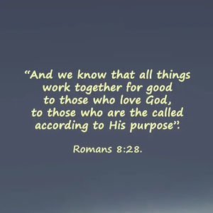 Meet your Posher, Evan